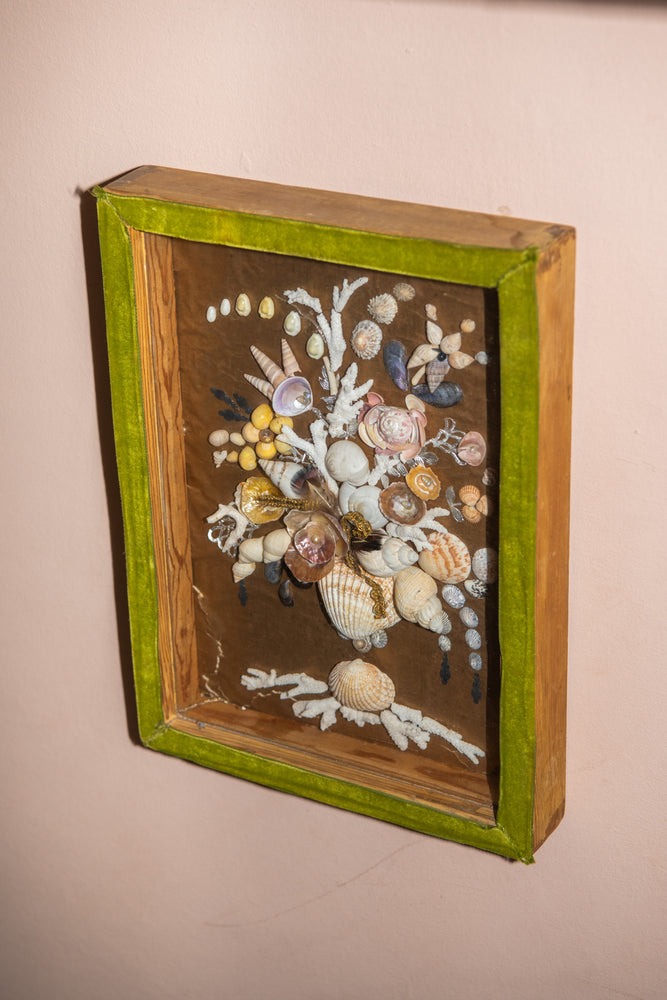 Antique shells in a green velvet frame box