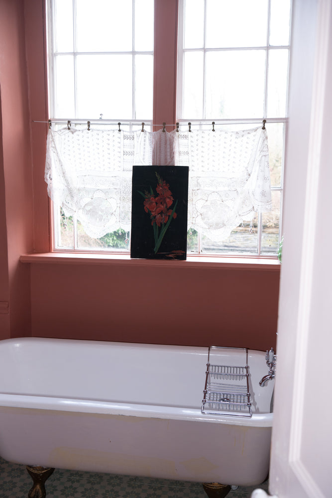 Antique red Gladioli painting on a black board