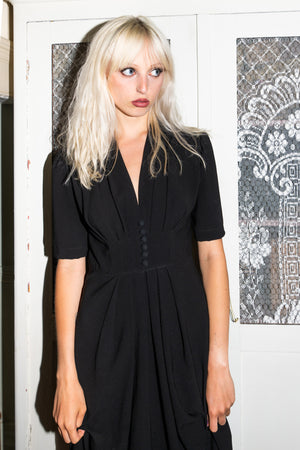 Black Crepe Daisy