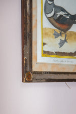 Antique mirrored framed duck