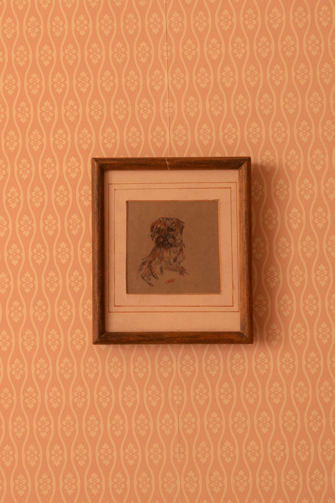 Vintage dog portrait in wooden frame