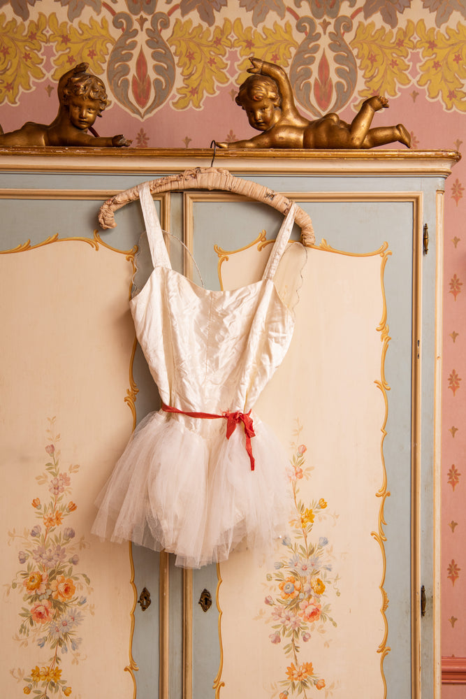 Antique Tutu with delicate wings