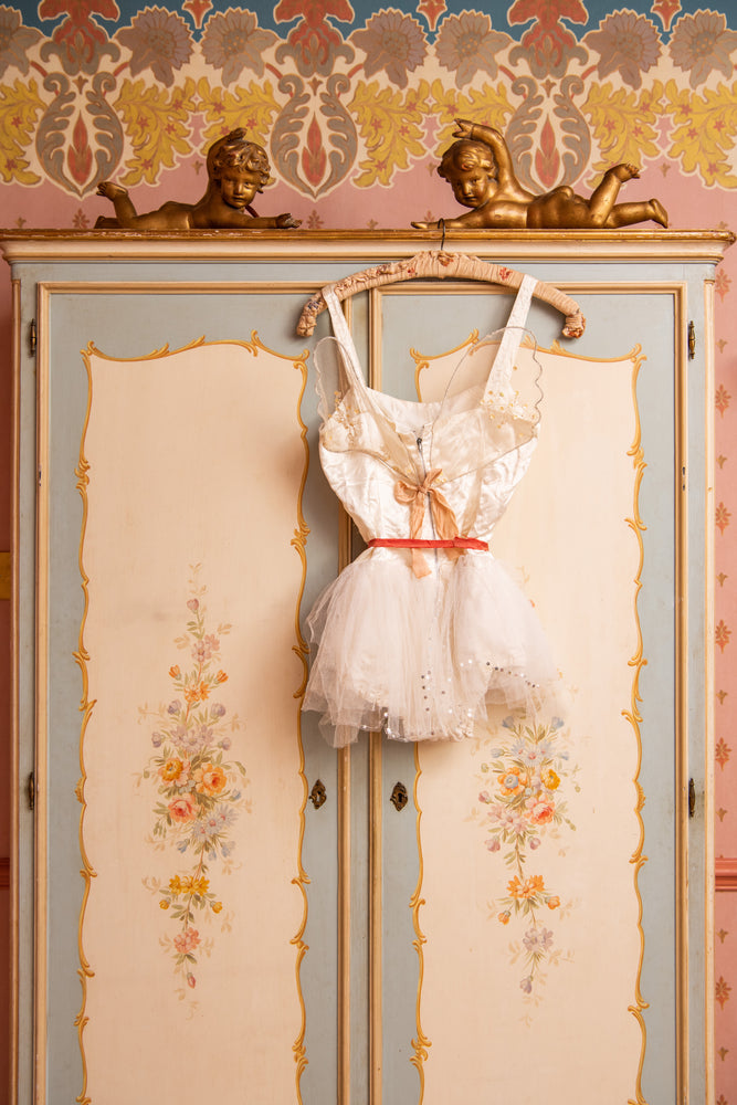 Antique Tutu with delicate wings