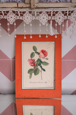 Antique 1920s trio of Floral paintings