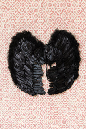 Antique black feather angel wings