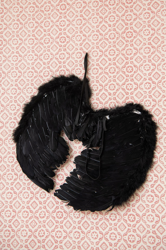 Antique black feather angel wings