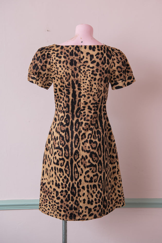 Peacocks leopard 2025 print dress