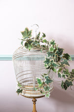 Antique Bird Cage with Ivy Garland