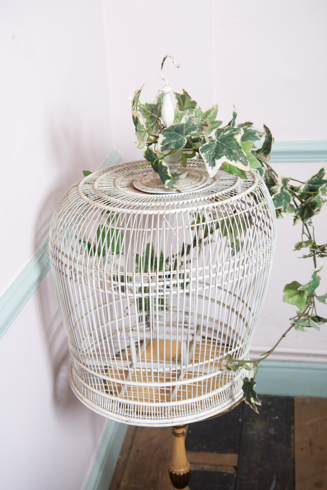 Antique Bird Cage with Ivy Garland