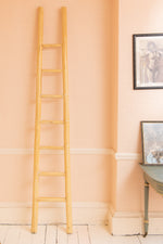 Antique Bamboo ladder