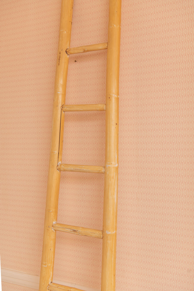 Antique Bamboo ladder